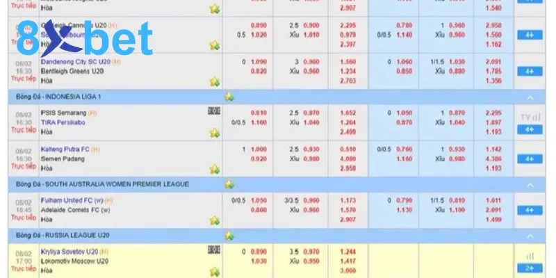 Cá cược thể thao 8Xbet - Hướng dẫn tham gia thắng lớn 4 Cá cược bóng đá