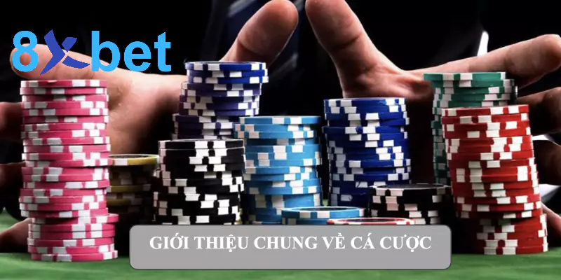 Cá cược - Hướng dẫn chi tiết nhất dành cho người mới bắt đầu 2 Giới thiệu chung về cá cược