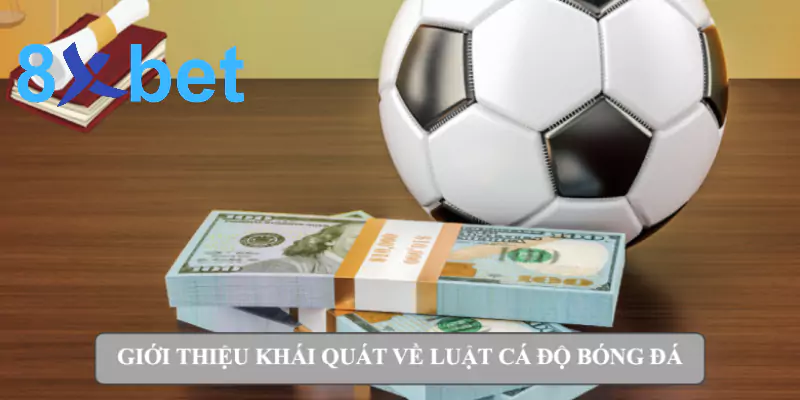 Từ A-Z về luật cá độ bóng đá cho bet thủ tại Việt Nam 2 Giới thiệu khái quát về luật cá độ bóng đá