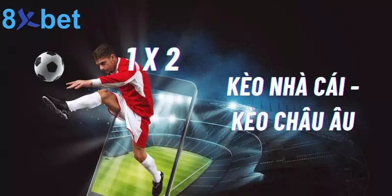 Kèo Nhà Cái Là Gì? 8xbet Bật Mí Các Loại Kèo Phổ Biến Nhất 4 Kèo Châu Âu - hấp dẫn với cách chơi đơn giản, tỷ lệ trả thưởng cao