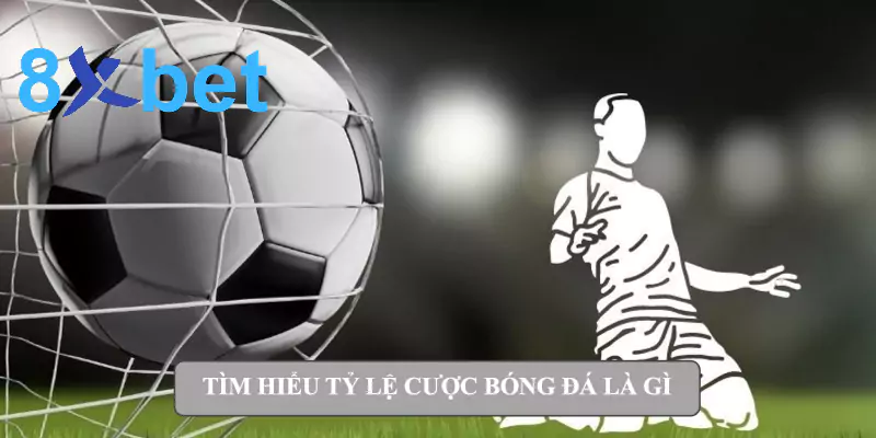 Tỷ lệ cược bóng đá là gì? Giải thích dễ hiểu về tỷ lệ cá cược 2 Tìm hiểu tỷ lệ cược bóng đá là gì